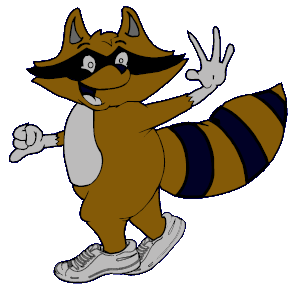 racoon